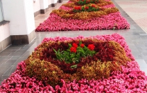 Цветник вдоль здания Госсовета УР (2010).
